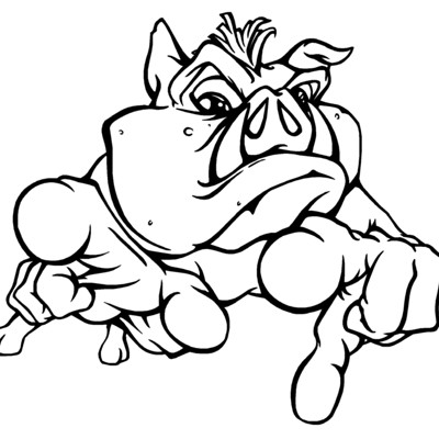 Boar Hog